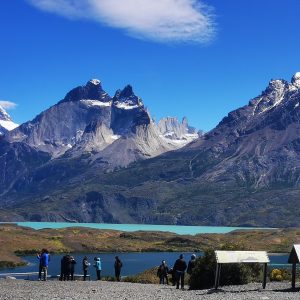 Full Day Torres del Paine & Cueva del Milodon desde Punta Arenas