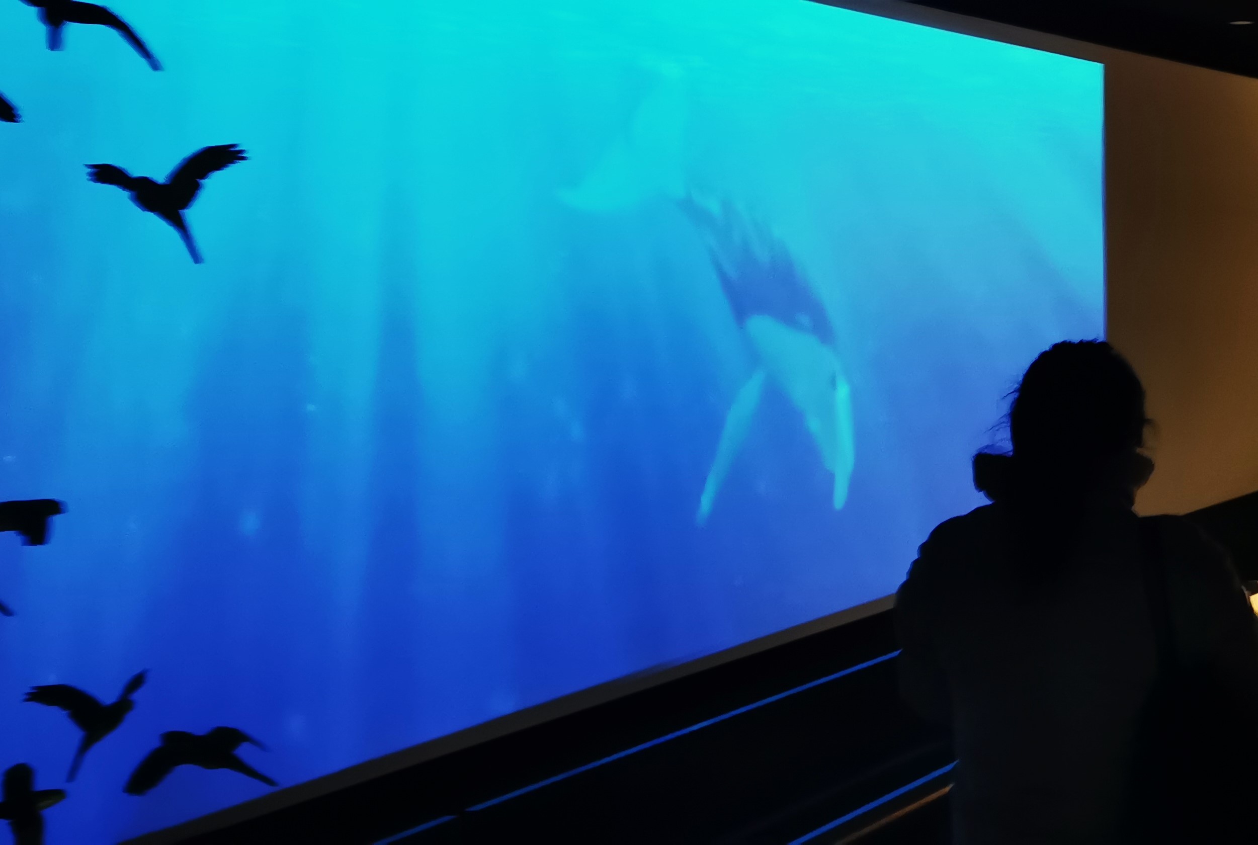 Fuerte Bulnes - Imagen 18