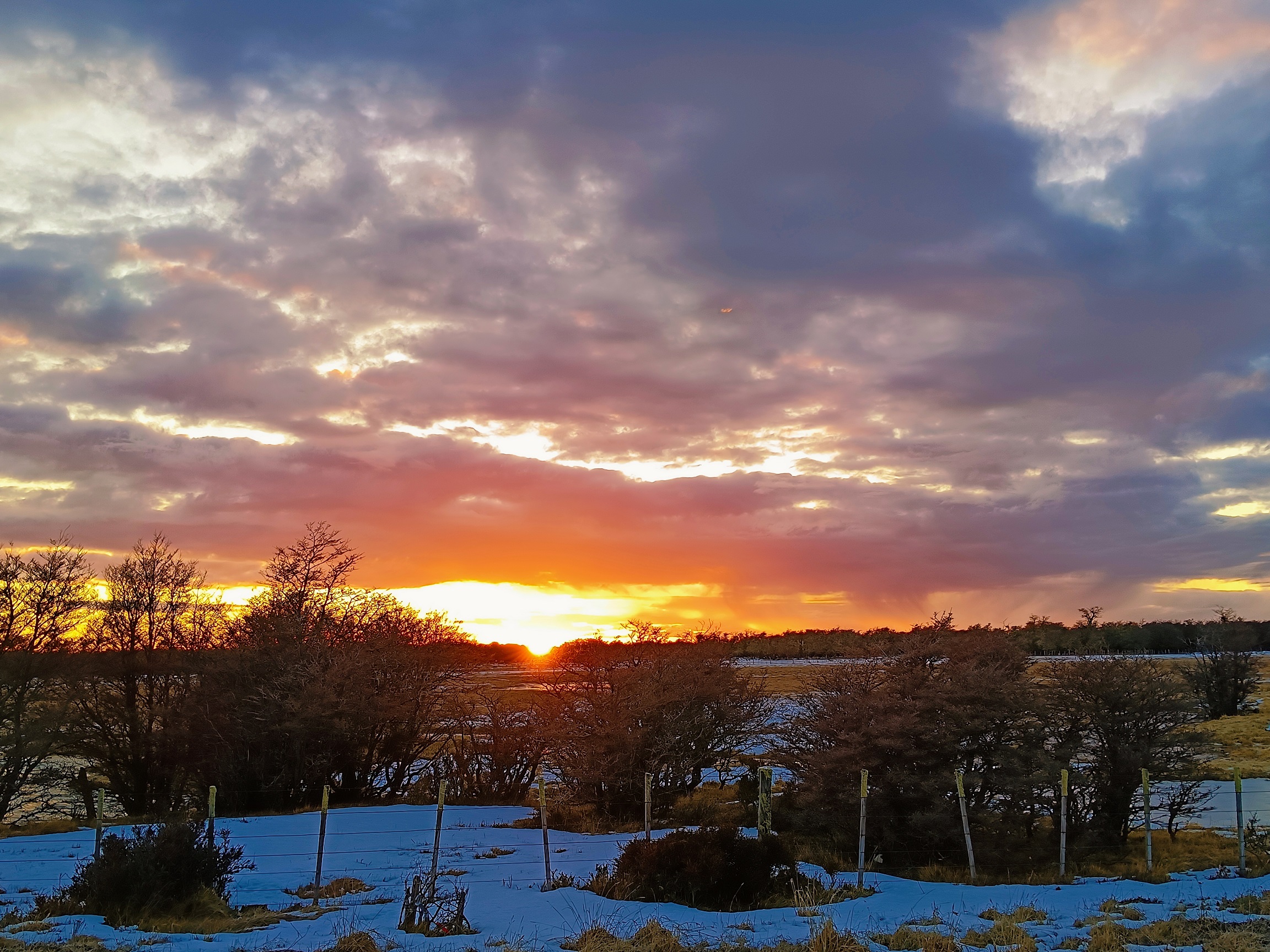 Traslados Punta Arenas - Puerto Natales - Imagen 6