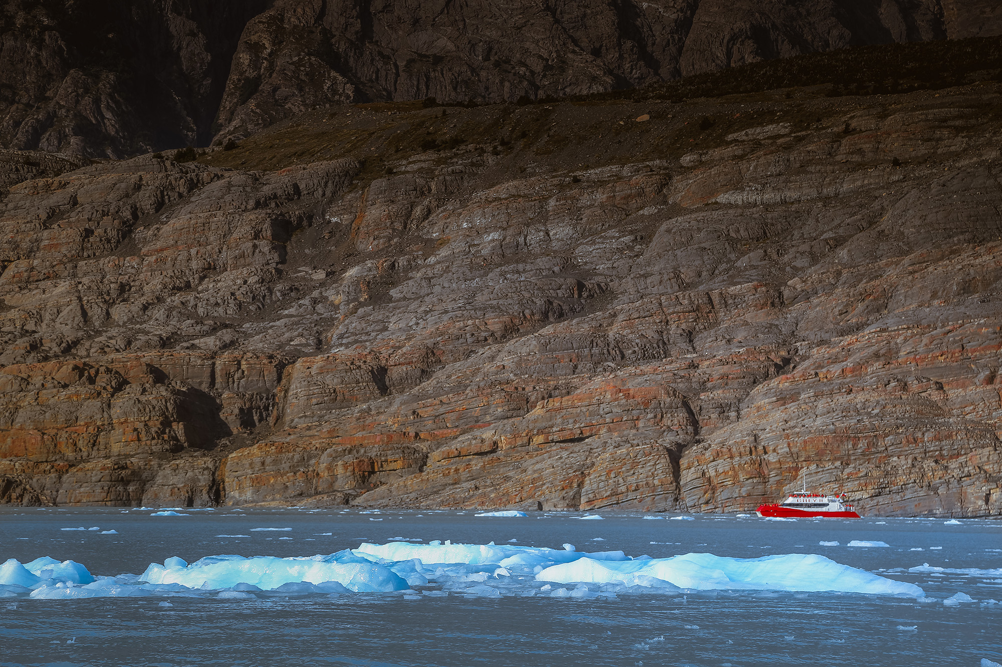 Traslado Privado desde Punta Arenas a Navegación a Glaciar Grey (1 a 6 Pax) - Imagen 13
