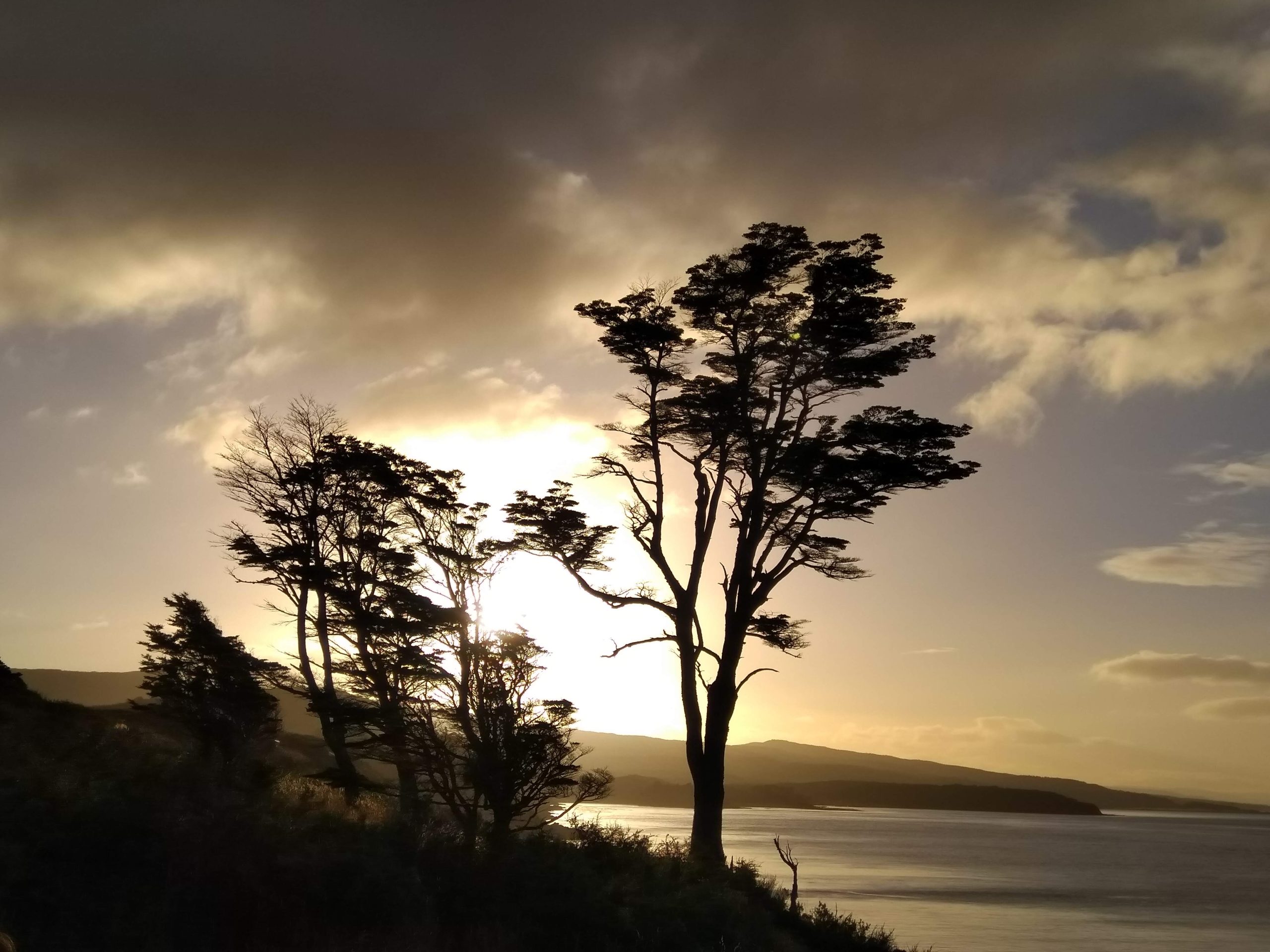 Fuerte Bulnes - Imagen 4