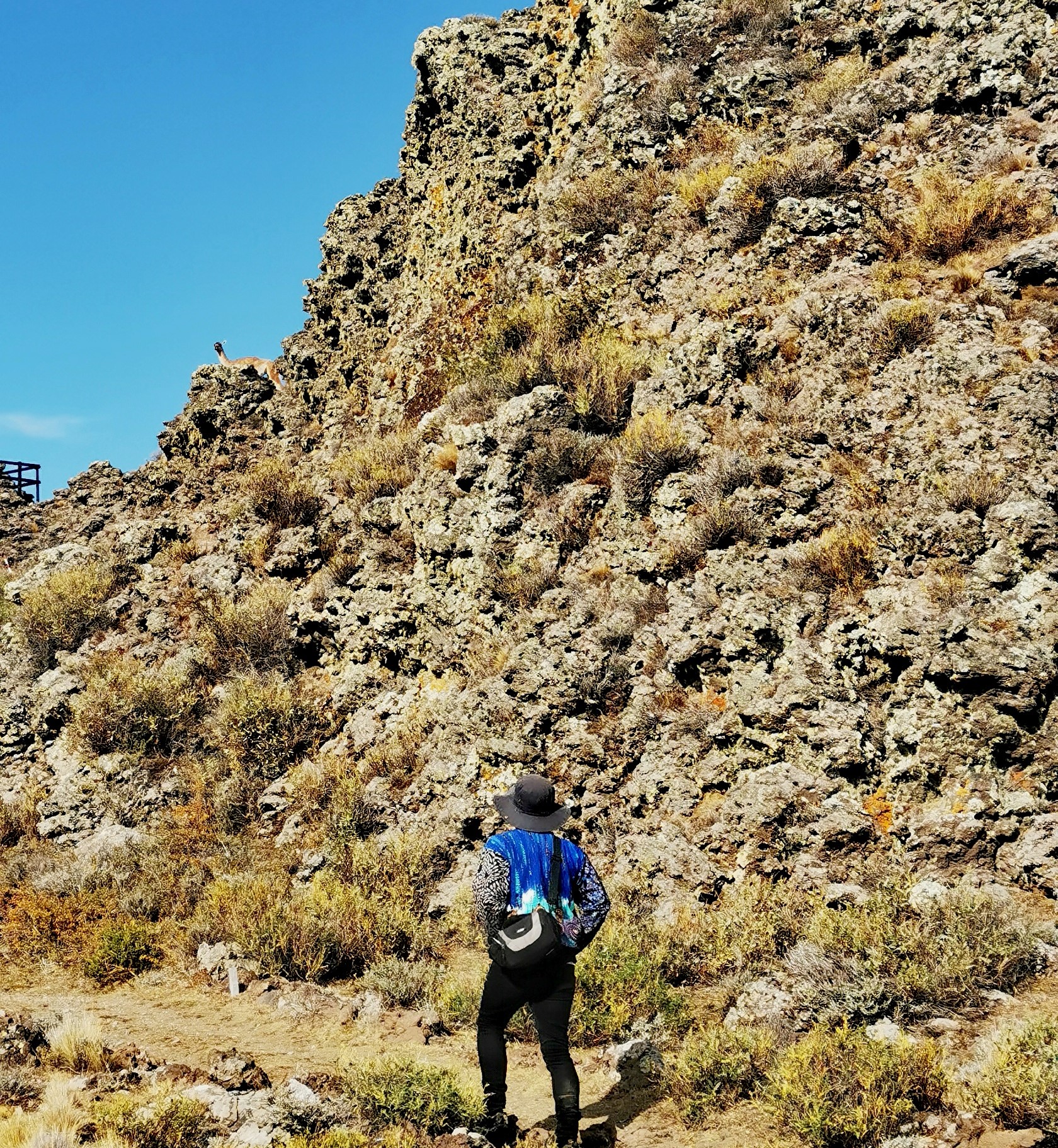 Parque Nacional Pali Aike - Imagen 7