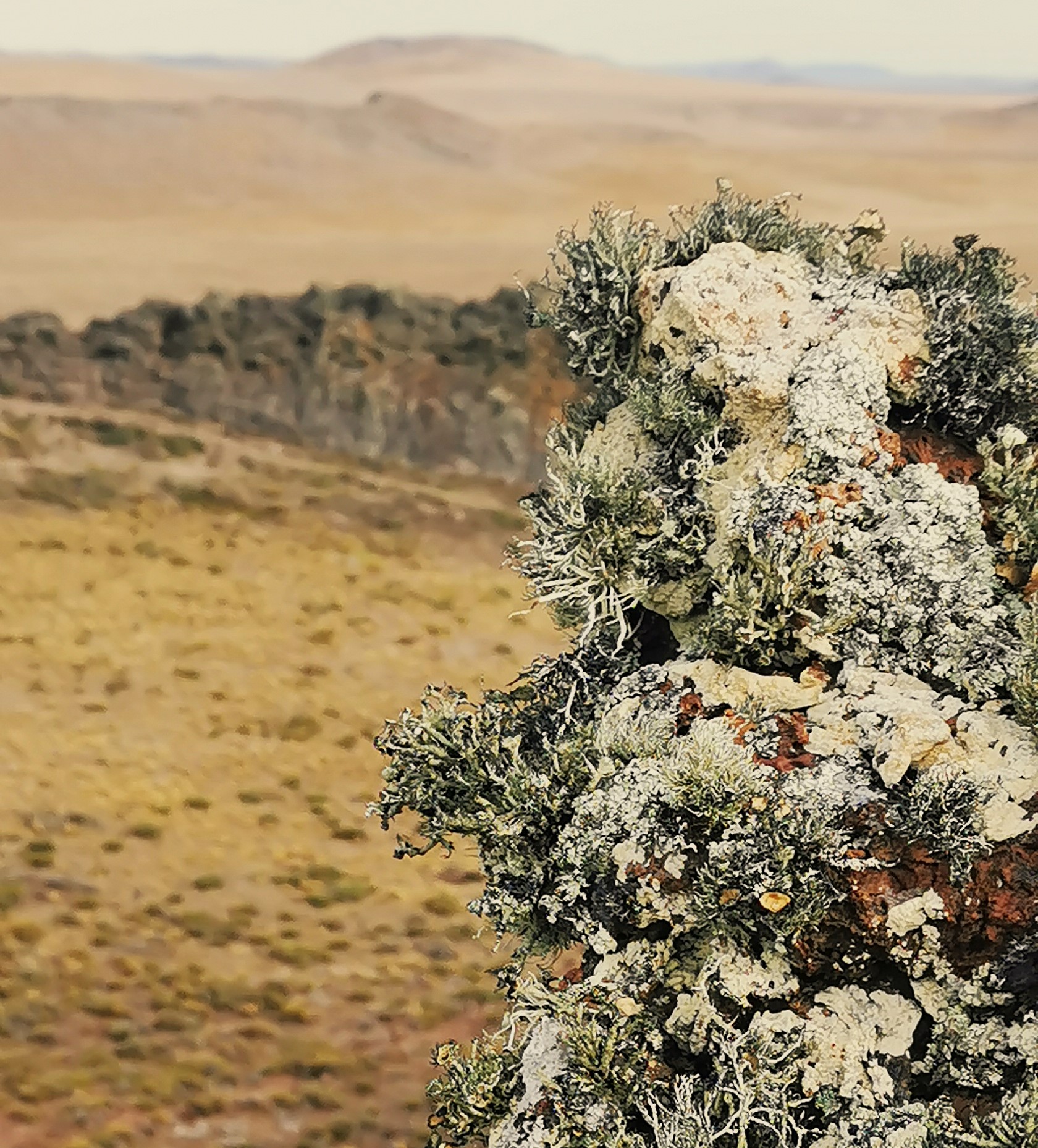 Parque Nacional Pali Aike - Imagen 8