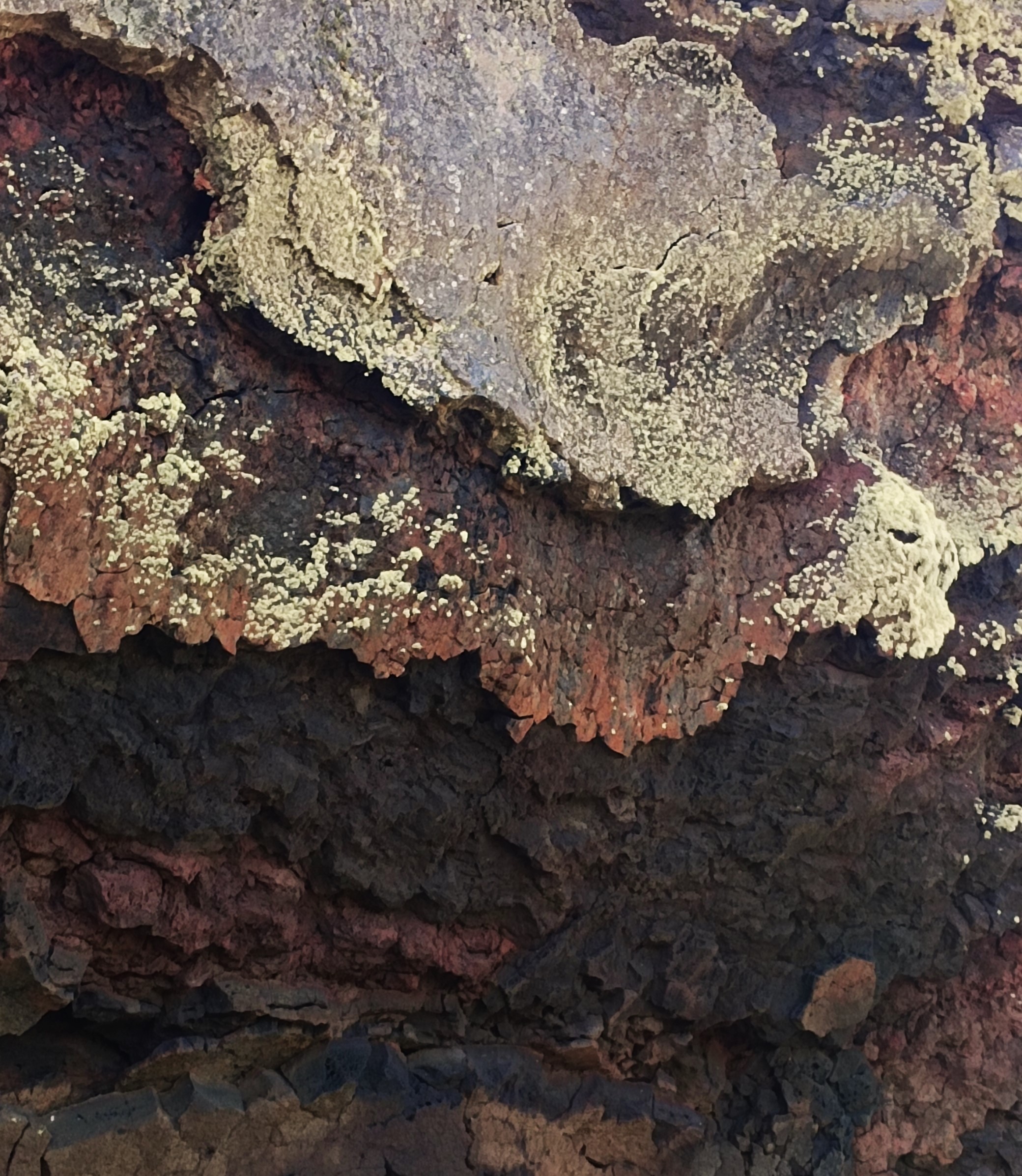 Parque Nacional Pali Aike - Imagen 17