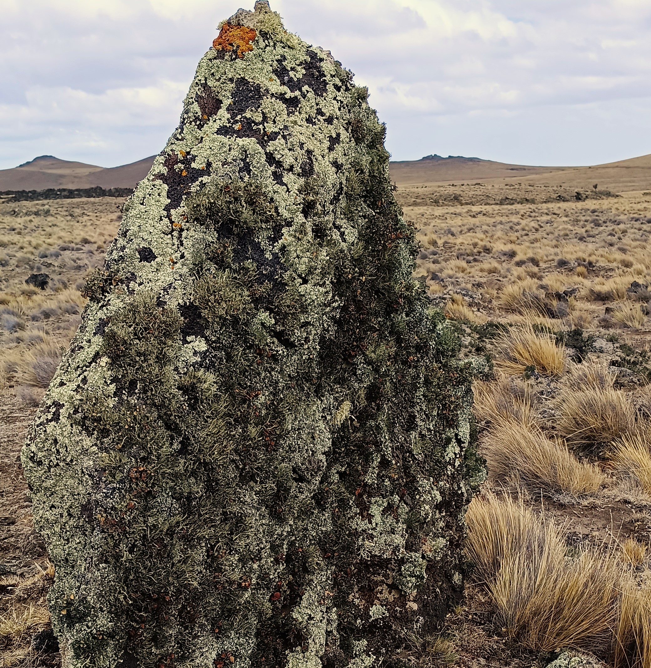 Parque Nacional Pali Aike - Imagen 18