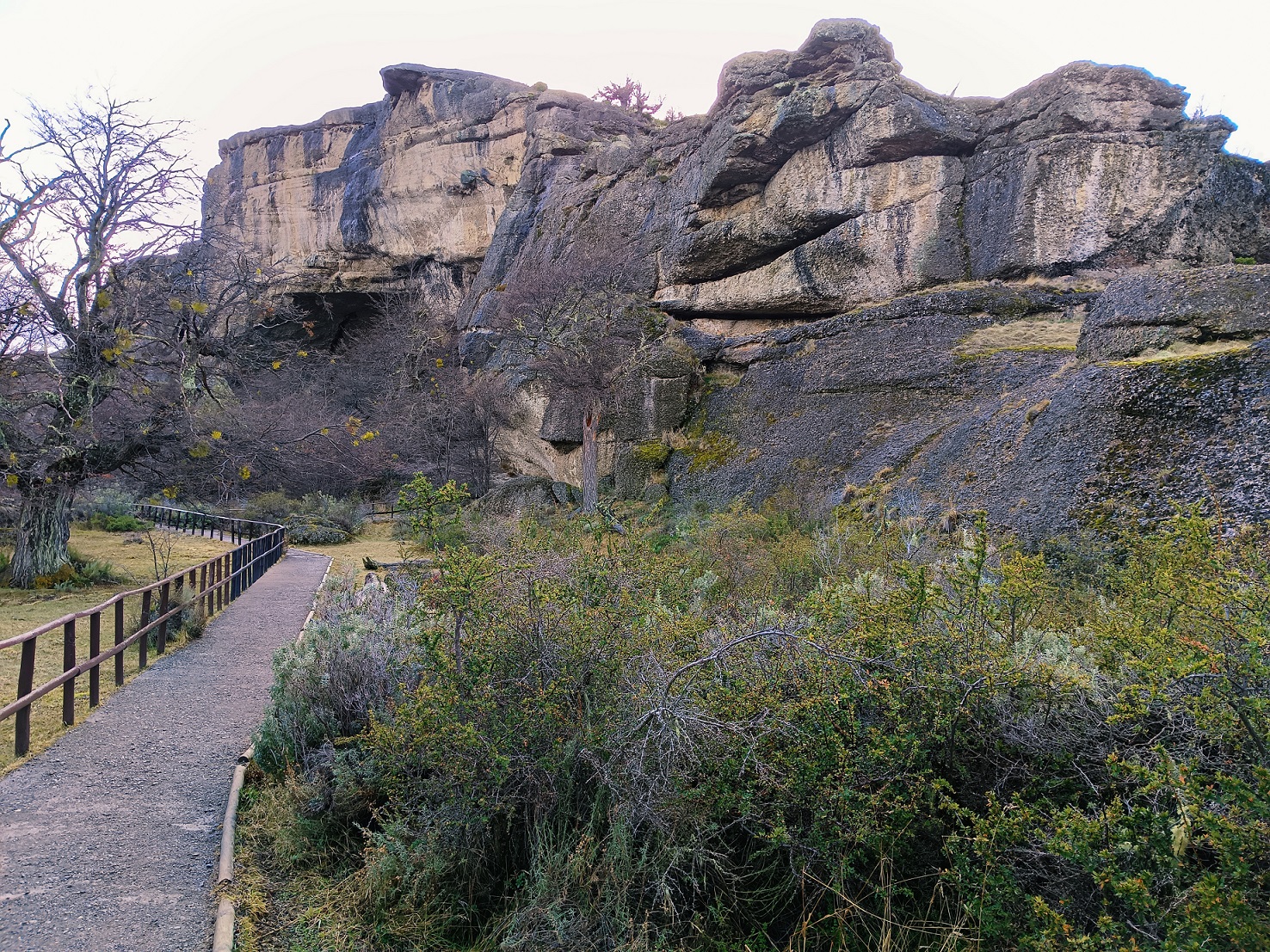 Full Day Torres del Paine & Cueva del Milodon PRIVADO (1 a 6 pax) - Imagen 21