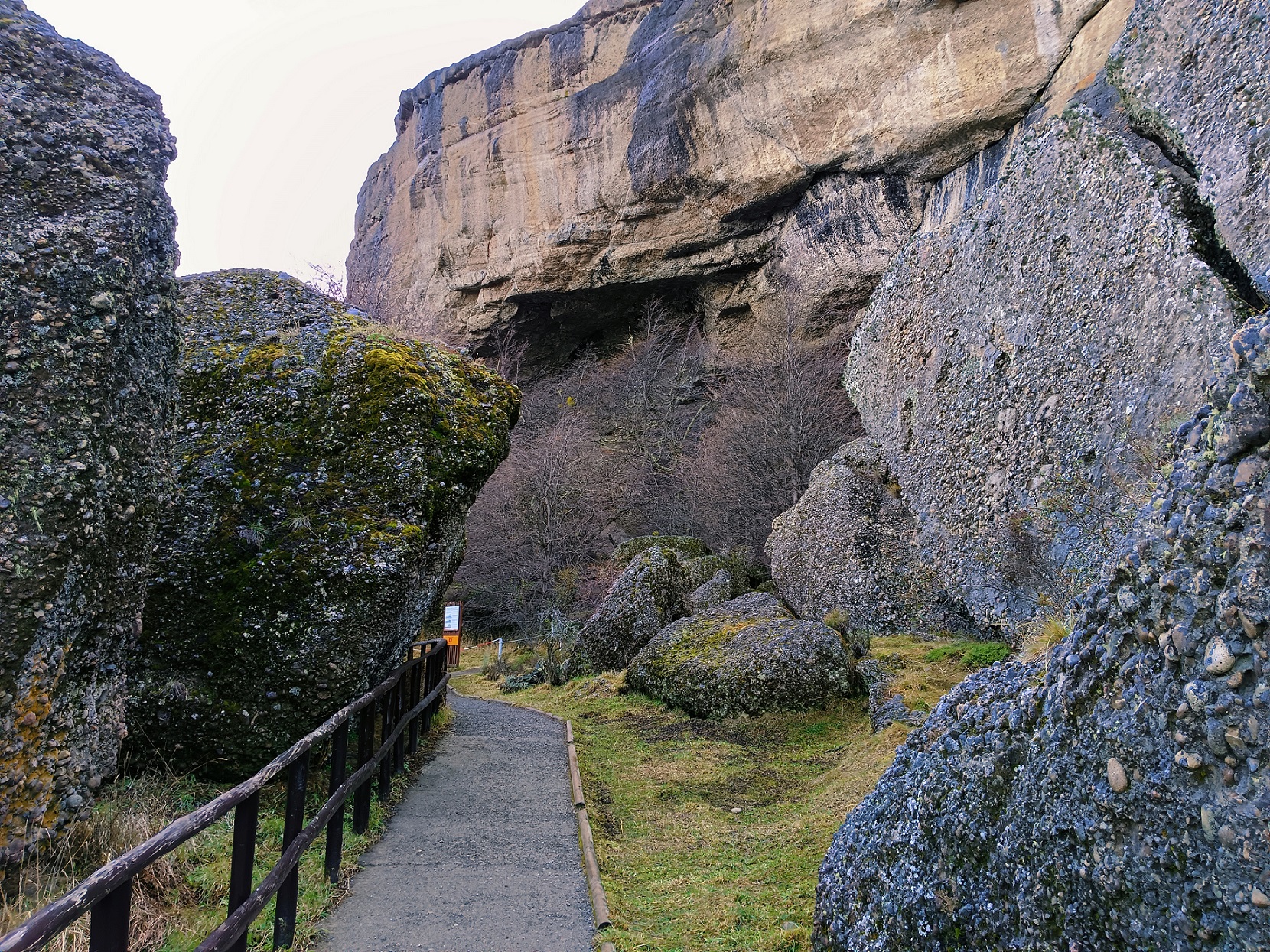 Full Day Torres del Paine & Cueva del Milodon PRIVADO (1 a 6 pax) - Imagen 22