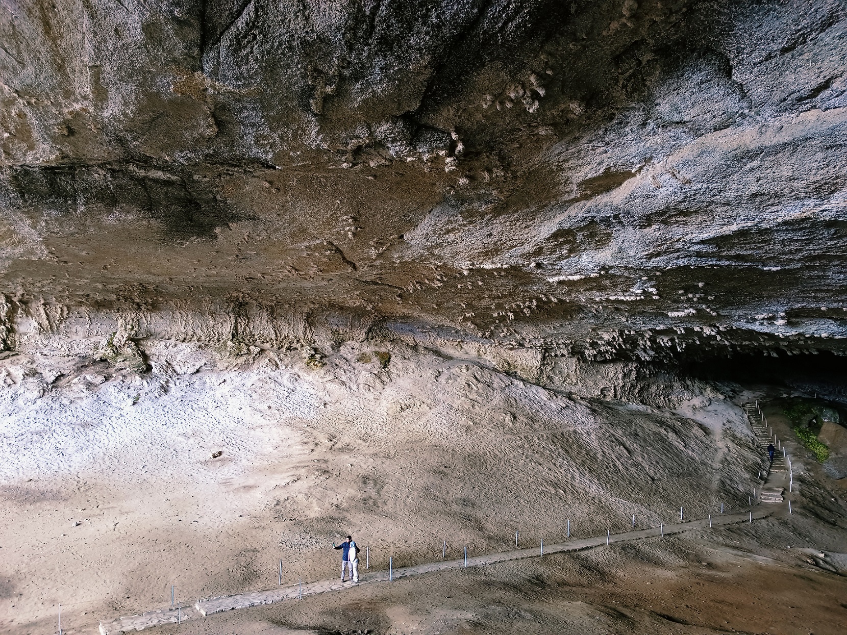Full Day Torres del Paine & Cueva del Milodon PRIVADO (1 a 6 pax) - Imagen 5