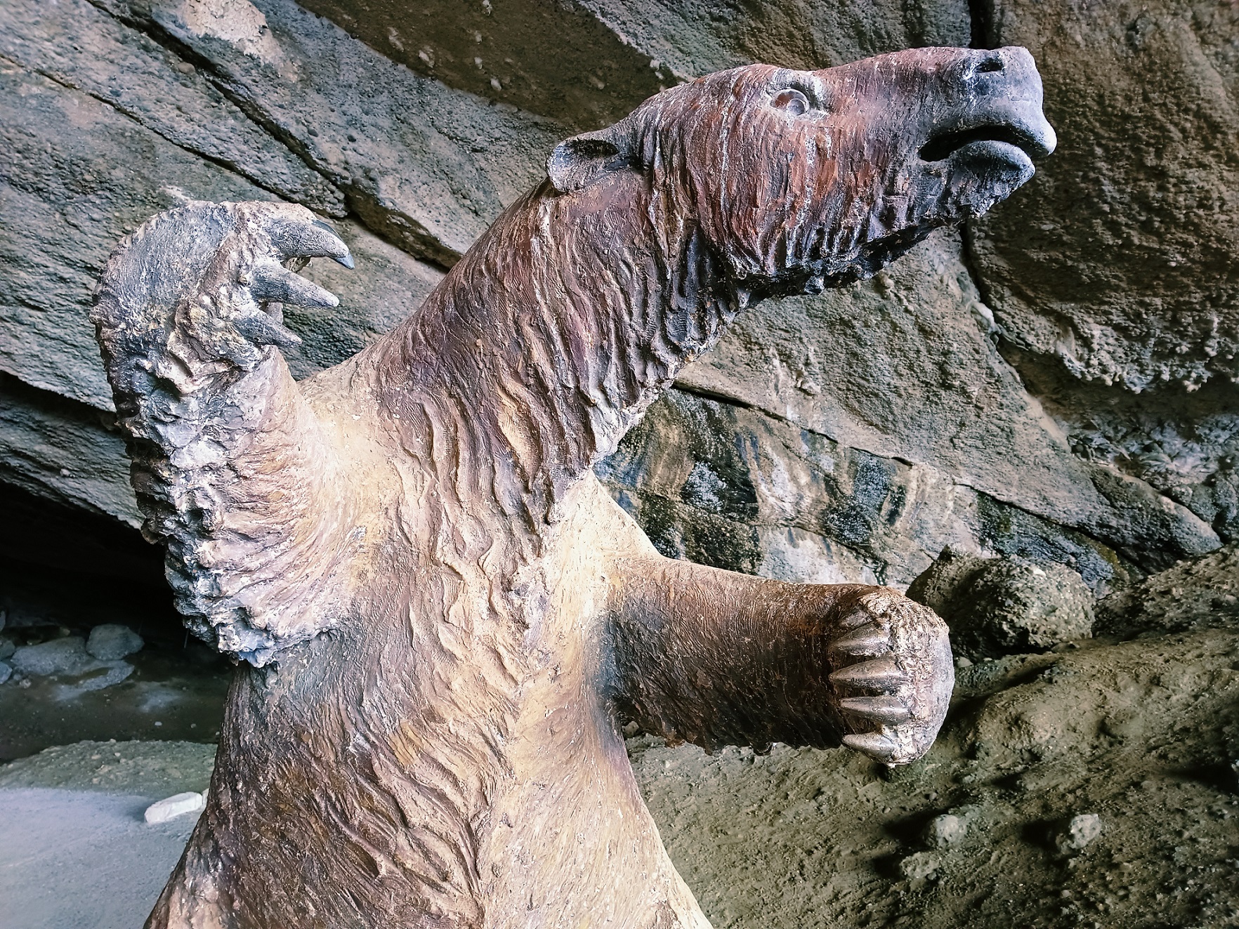 Full Day Torres del Paine & Cueva del Milodon PRIVADO (1 a 6 pax) - Imagen 23