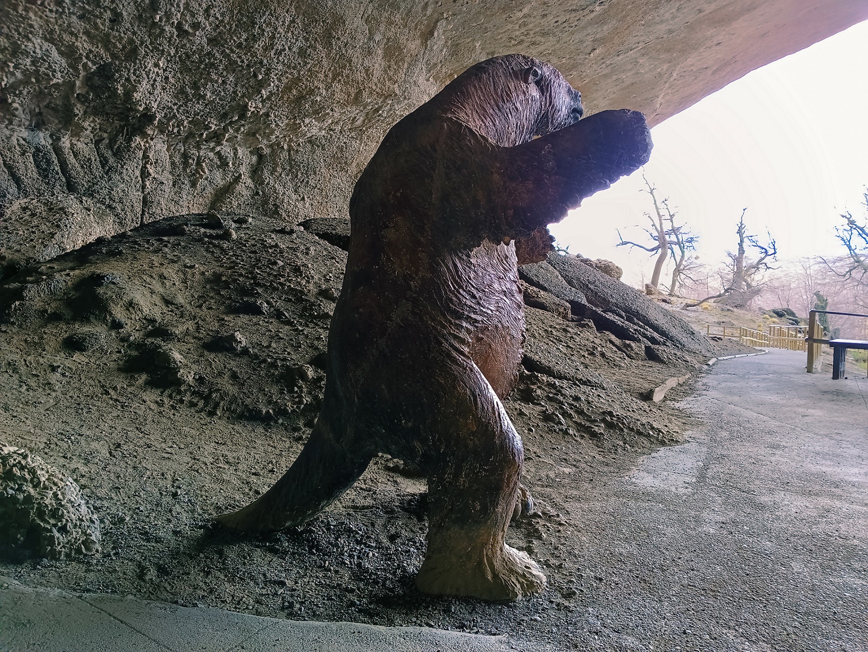 Full Day Torres del Paine & Cueva del Milodon PRIVADO (1 a 6 pax) - Imagen 24