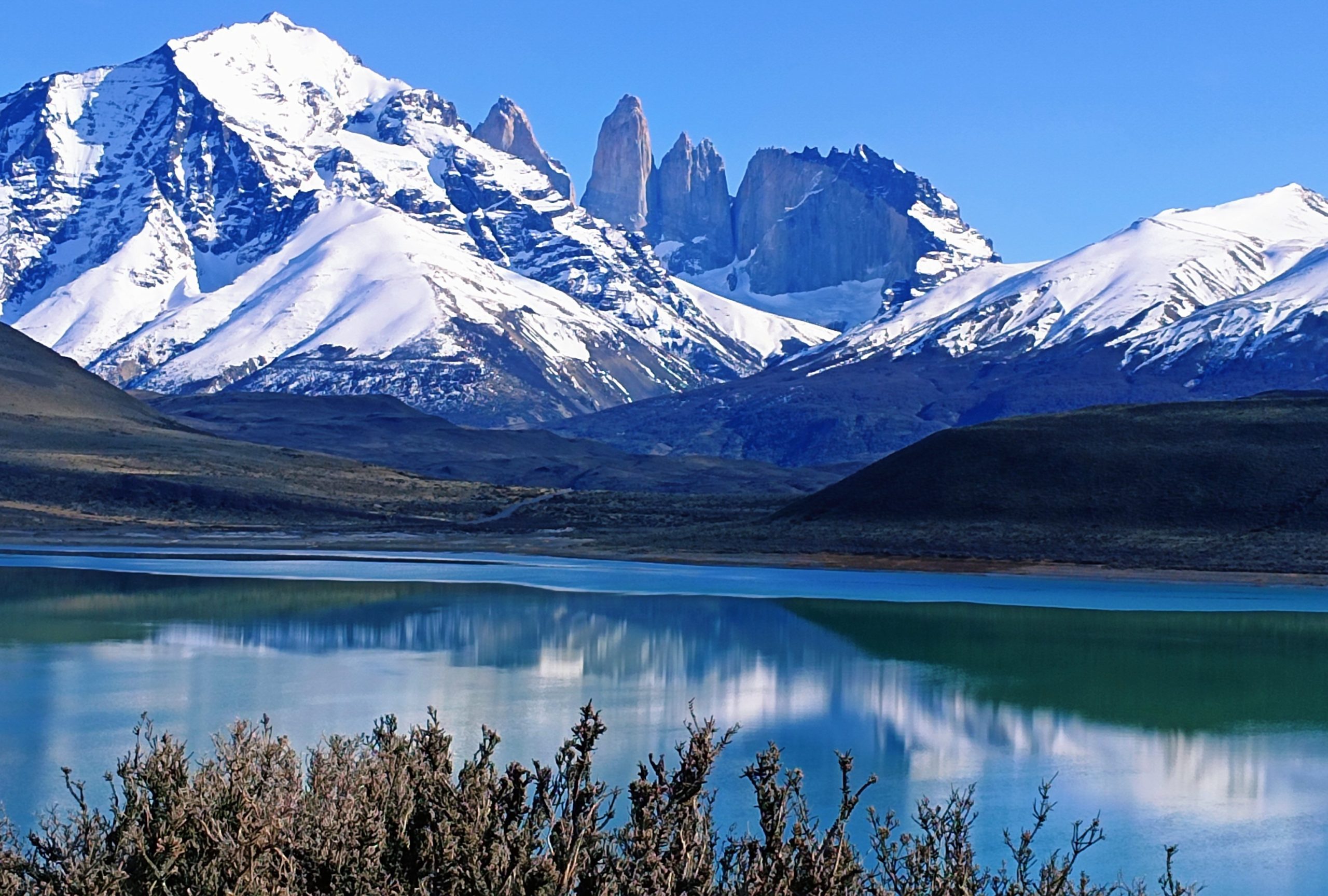 Full Day Torres del Paine & Cueva del Milodon PRIVADO (1 a 6 pax) - Imagen 28
